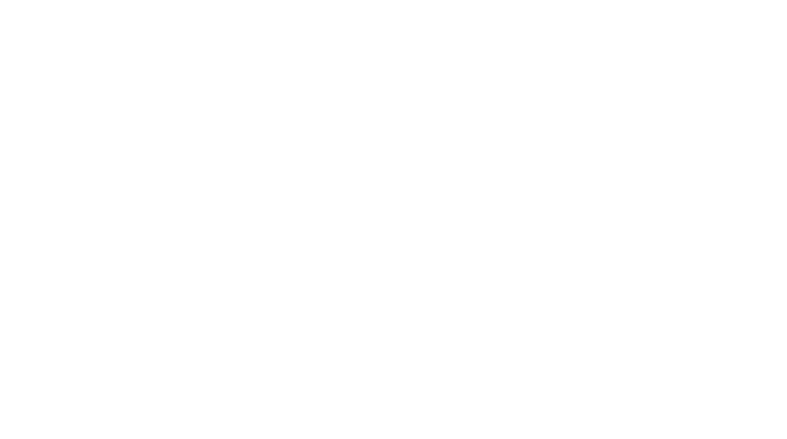 BigFoot