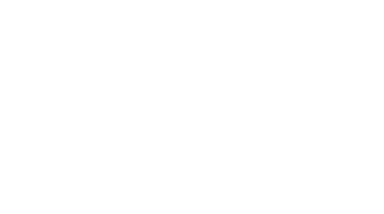 Giant Communications
