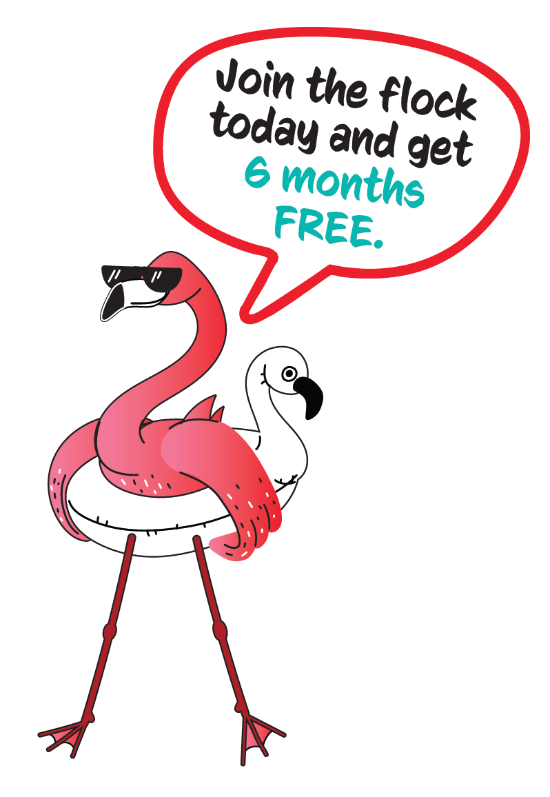 Join the Fiber Flock and get 6 Months Free! Join the Fiber Flock and get 6 Months Free!