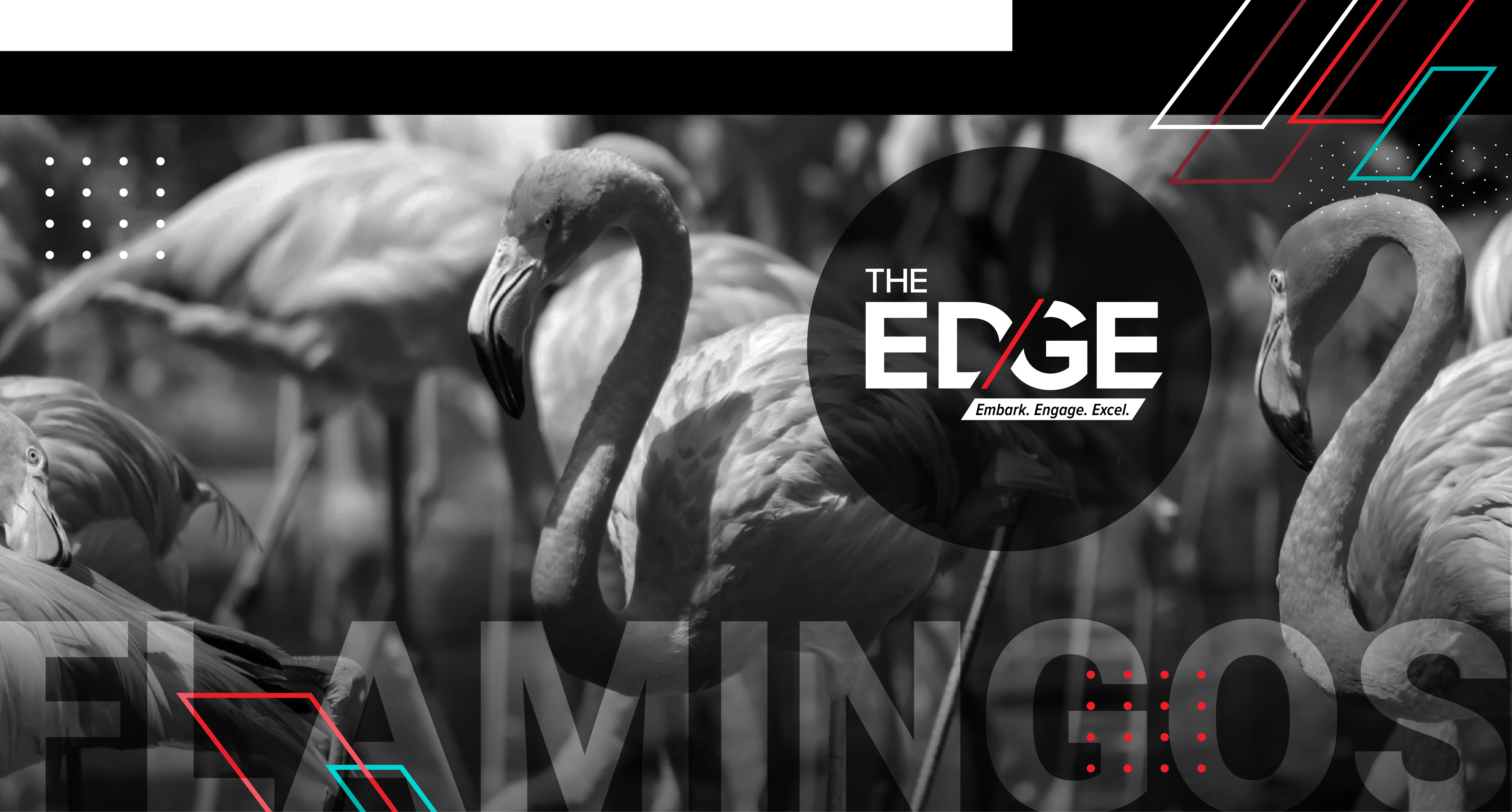 Flamingos, Fun, and Fantastic Results