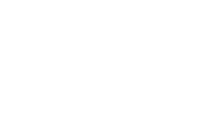 Pioneer Connect